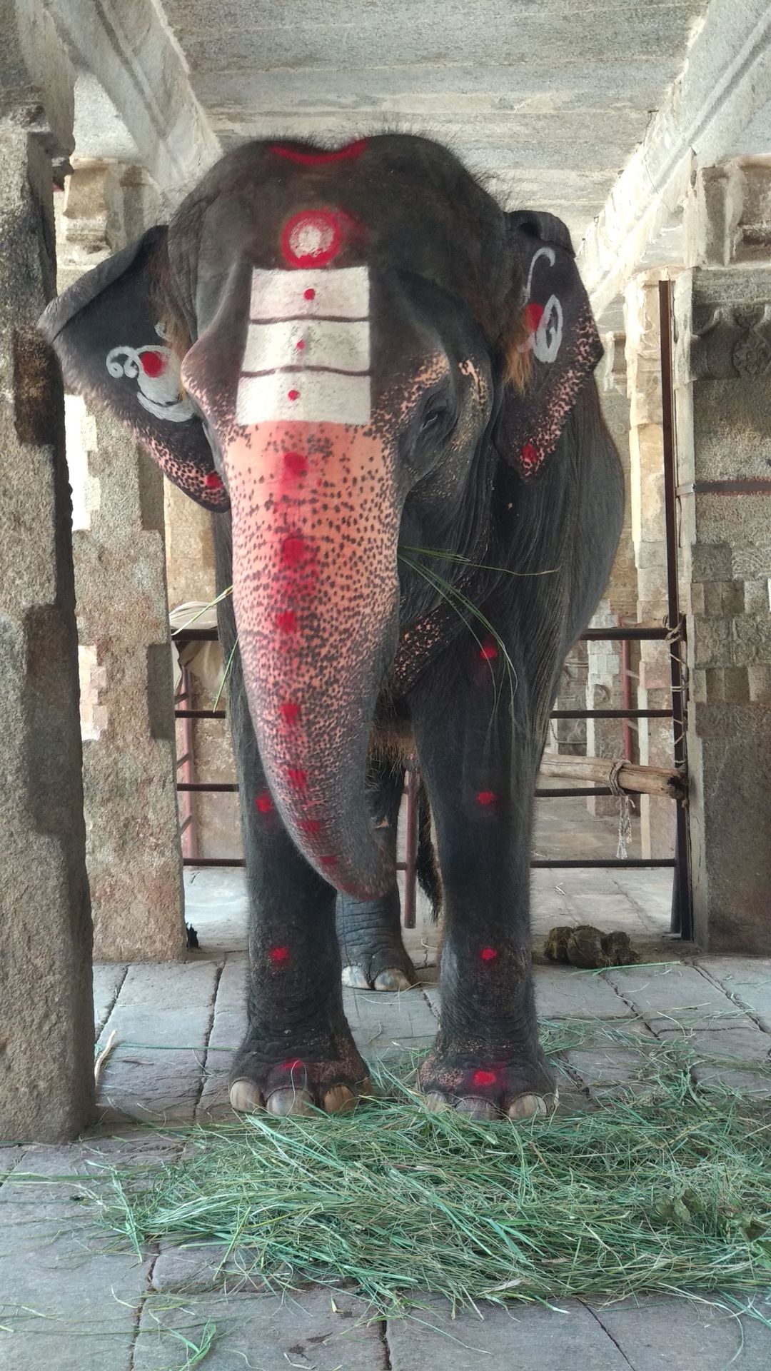 Lakshmi At Virupaksha Temple, Hampi