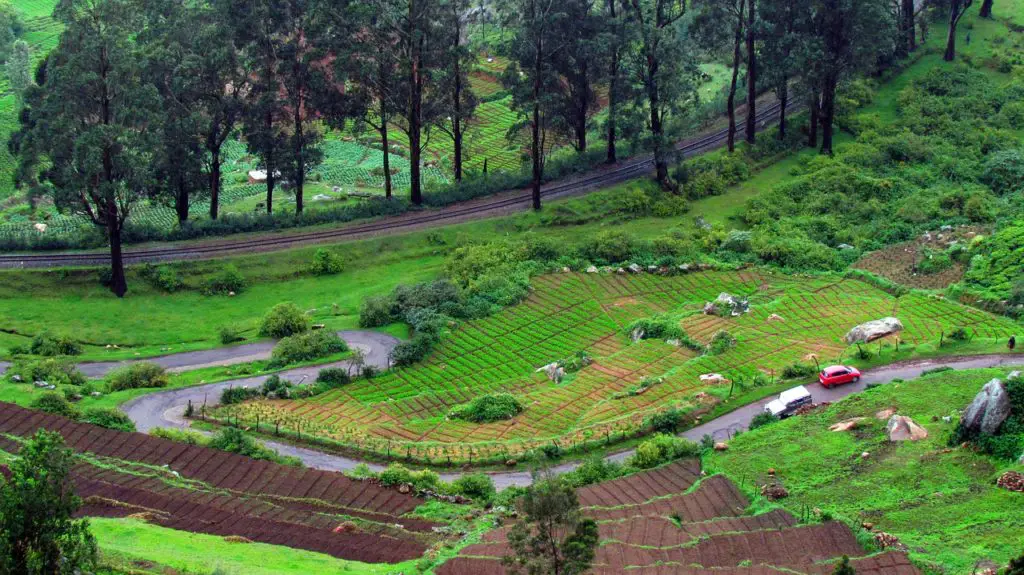Top places to visit in Ooty