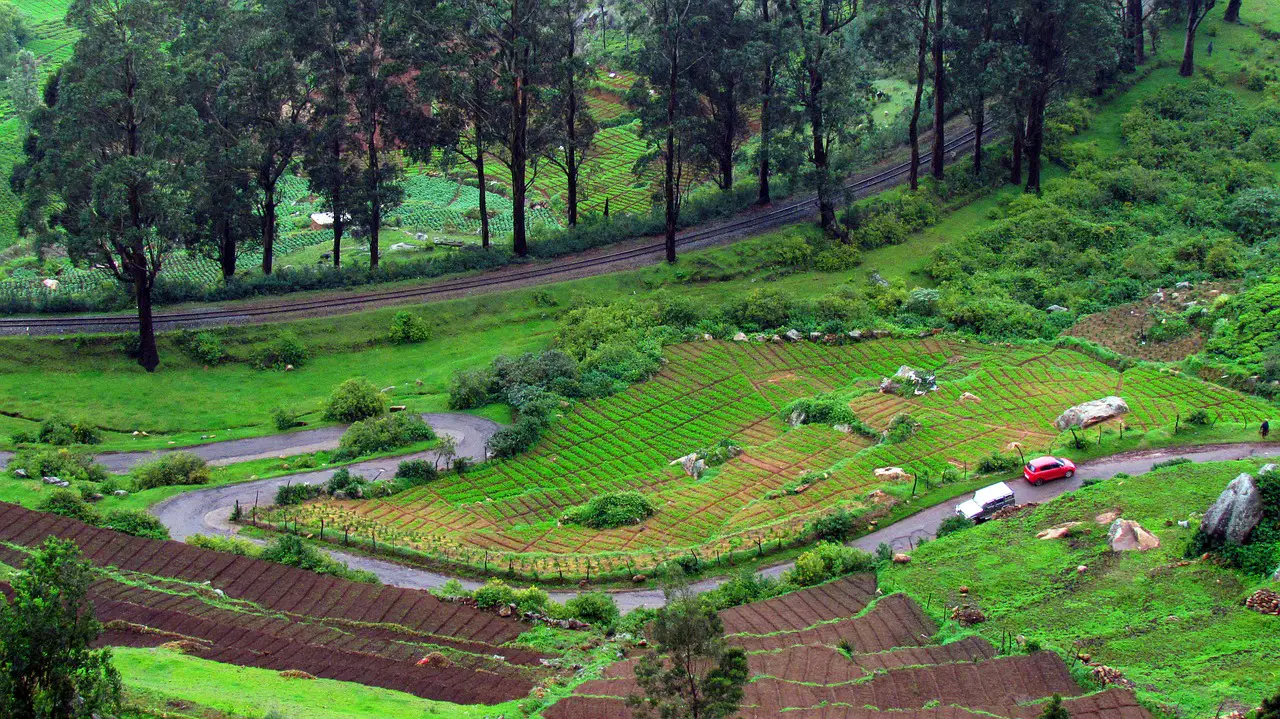 ooty places visit