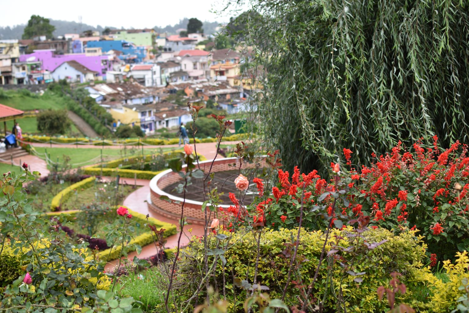 Rose Garden Ooty, City View