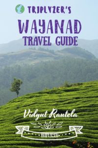 Wayanad Travel Guide Pinterest