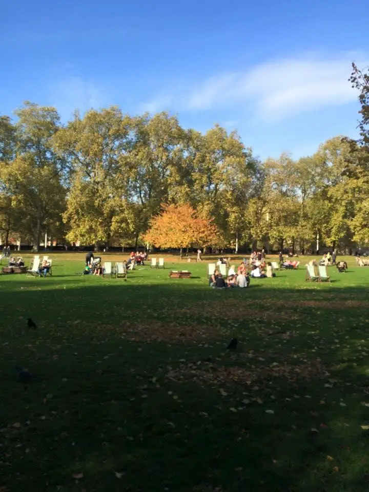 Beautiful Sunny Day in London Park