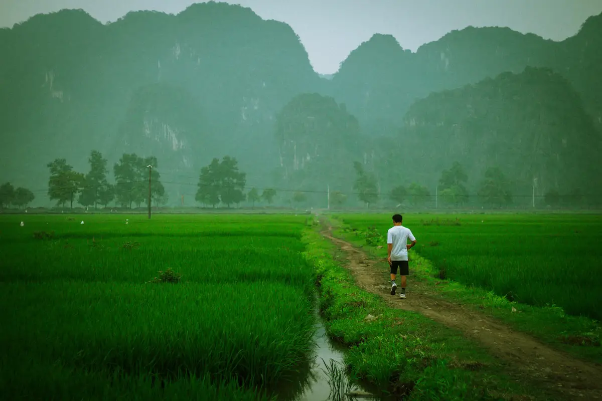 Getting from Hoi An to Ninh Binh » 2024 » [by a TRAVEL BLOGGER ]